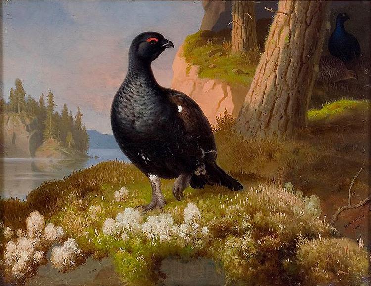 Ferdinand von Wright Black Grouses 1864 Norge oil painting art